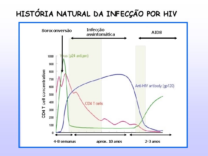 HISTÓRIA NATURAL DA INFECÇÃO POR HIV Soroconversão 4 -8 semanas Infecção assintomática aprox. 10