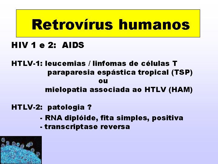 Retrovírus humanos HIV 1 e 2: AIDS HTLV-1: leucemias / linfomas de células T