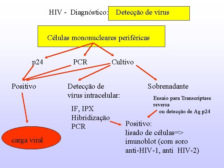 HIV - Diagnóstico: Detecção de vírus Células mononucleares periféricas p 24 PCR Cultivo Positivo