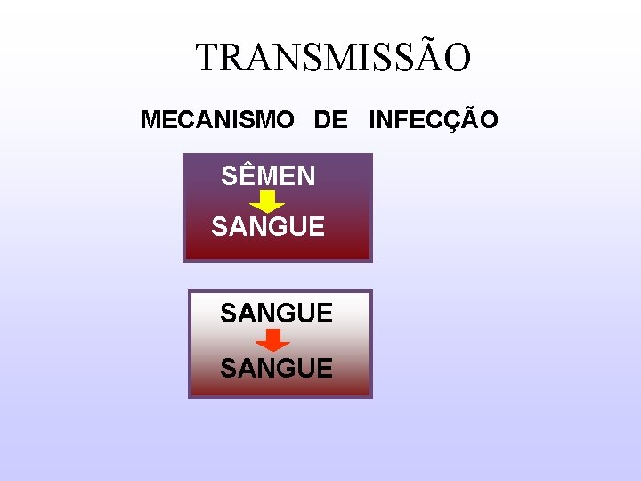  TRANSMISSÃO MECANISMO DE INFECÇÃO SÊMEN SANGUE 