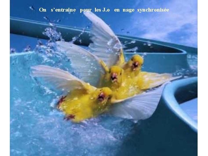 On s’entraine pour les J. o en nage synchronisée 