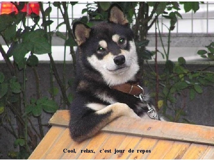 Cool, relax, c’est jour de repos 
