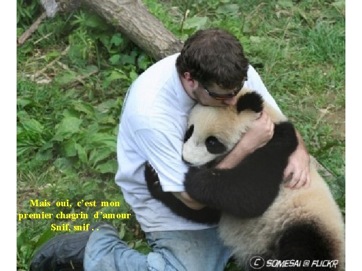 Mais oui, c’est mon premier chagrin d’amour Snif, snif. . 