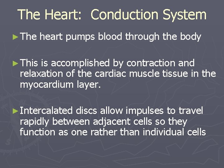 The Heart: Conduction System ► The heart pumps blood through the body ► This