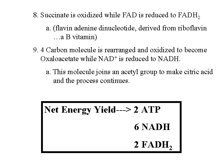 8. Succinate is oxidized while FAD is reduced to FADH 2 a. (flavin adenine