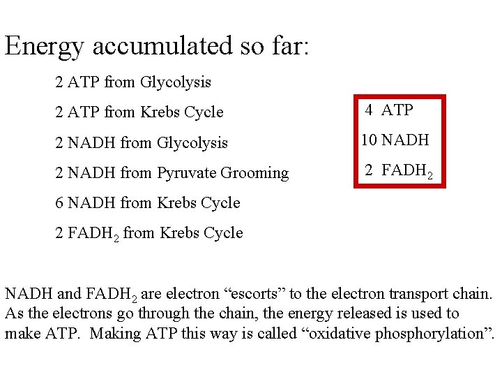 Energy accumulated so far: 2 ATP from Glycolysis 2 ATP from Krebs Cycle 4