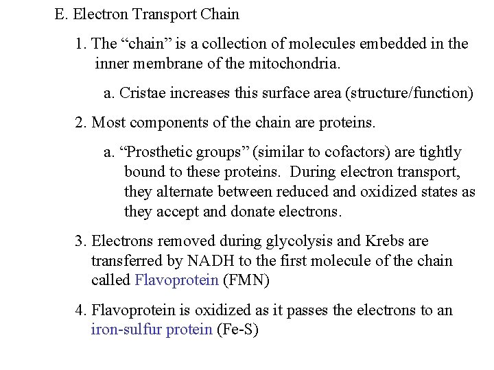 E. Electron Transport Chain 1. The “chain” is a collection of molecules embedded in