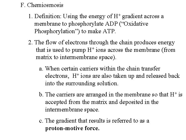 F. Chemiosmosis 1. Definition: Using the energy of H+ gradient across a membrane to