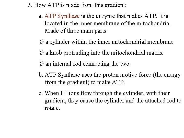 3. How ATP is made from this gradient: a. ATP Synthase is the enzyme