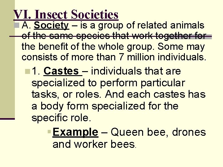 VI. Insect Societies n A. Society – is a group of related animals of