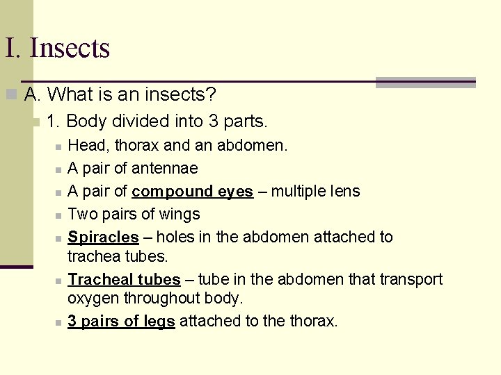 I. Insects n A. What is an insects? n 1. Body divided into 3