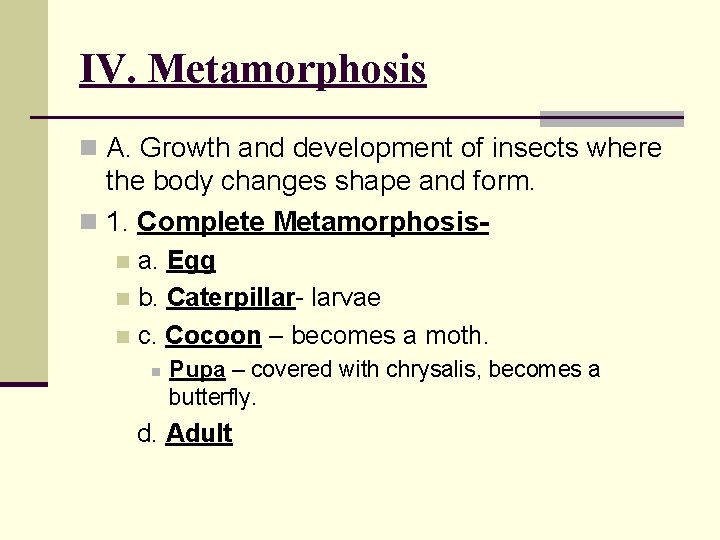 IV. Metamorphosis n A. Growth and development of insects where the body changes shape