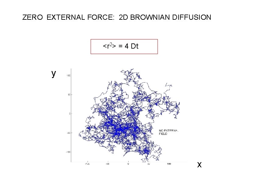 ZERO EXTERNAL FORCE: 2 D BROWNIAN DIFFUSION <r 2> = 4 Dt y x ZERO EXTERNAL FORCE: 2 D BROWNIAN DIFFUSION <r 2> = 4 Dt y x
