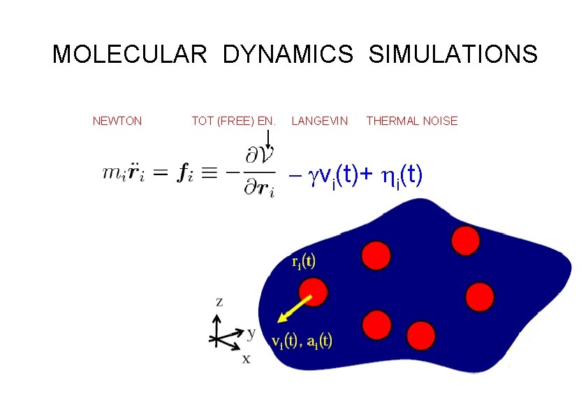 MOLECULAR DYNAMICS SIMULATIONS NEWTON TOT (FREE) EN. LANGEVIN THERMAL NOISE - gvi(t)+ hi(t) MOLECULAR DYNAMICS SIMULATIONS NEWTON TOT (FREE) EN. LANGEVIN THERMAL NOISE - gvi(t)+ hi(t)