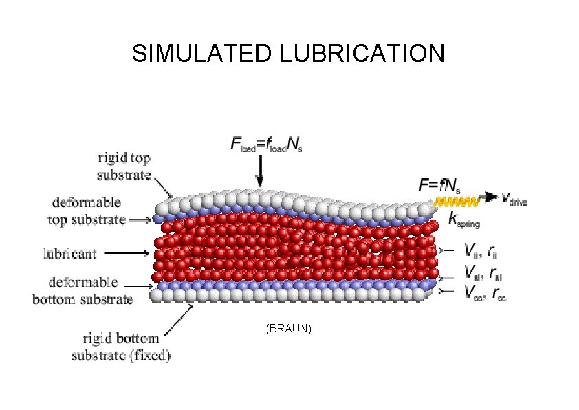 SIMULATED LUBRICATION (BRAUN) SIMULATED LUBRICATION (BRAUN)