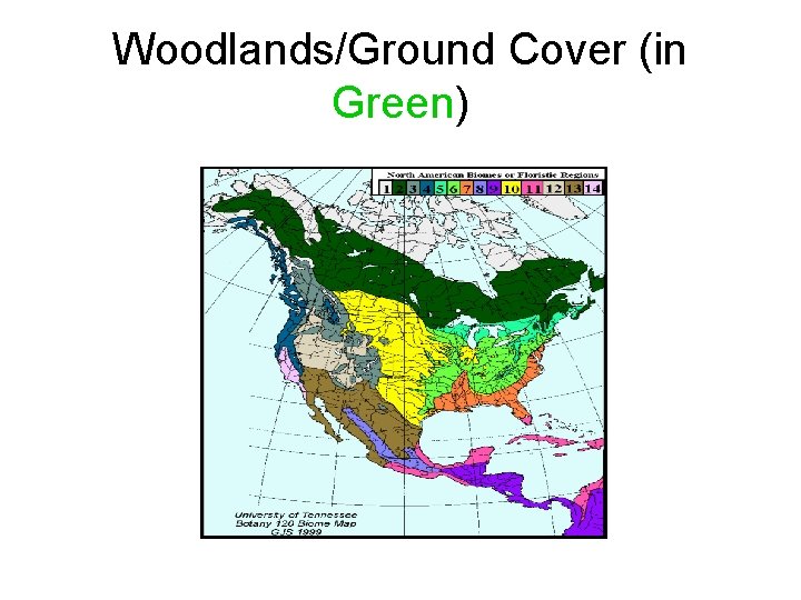 Woodlands/Ground Cover (in Green) 