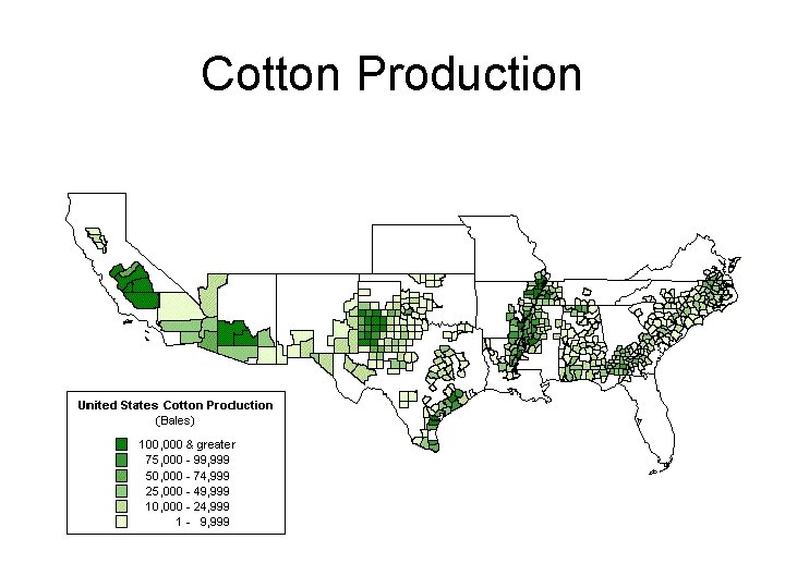 Cotton Production 