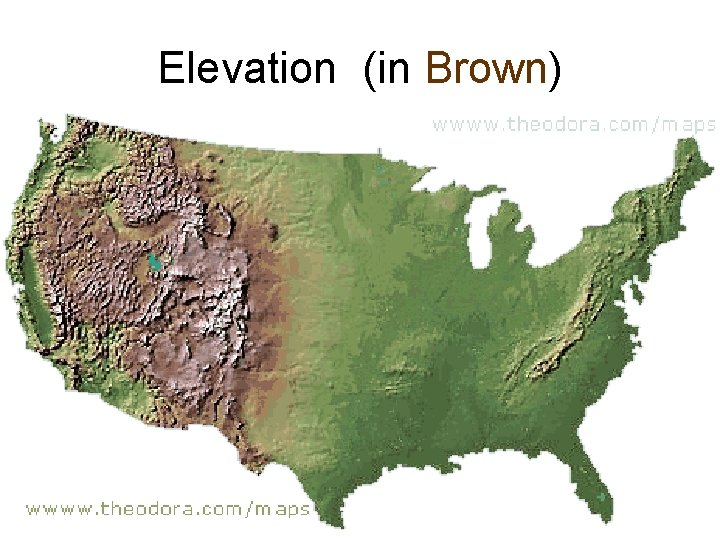 Elevation (in Brown) 