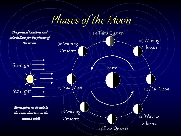 Phases of the Moon The general locations and orientations for the phases of the