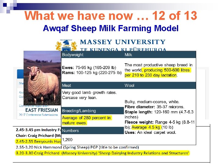 What we have now … 12 of 13 Awqaf Sheep Milk Farming Model 