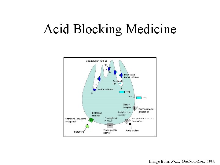 Acid Blocking Medicine Image from: Pract Gastroenterol 1999 