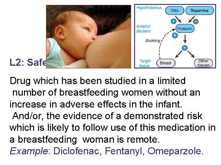 L 2: Safer Drug which has been studied in a limited number of breastfeeding