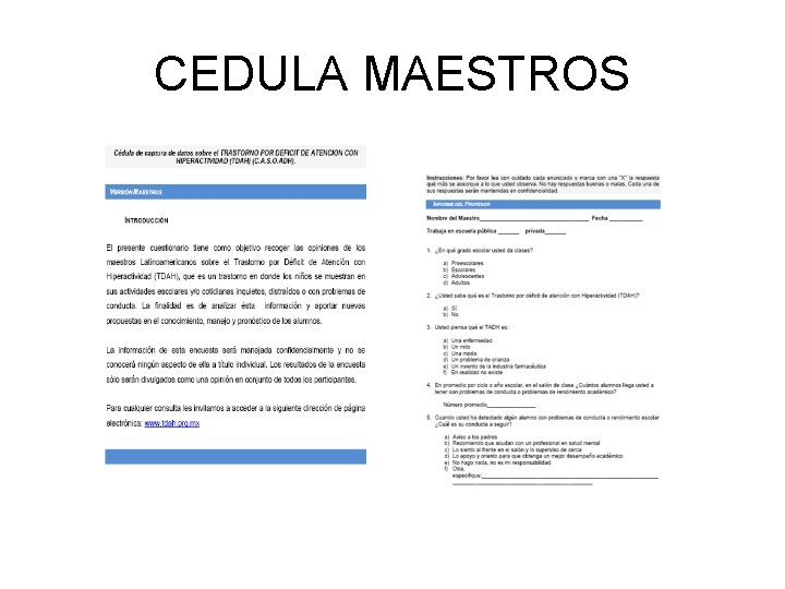 CEDULA MAESTROS 