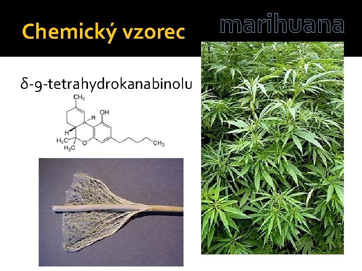 Chemický vzorec δ-9 -tetrahydrokanabinolu marihuana 