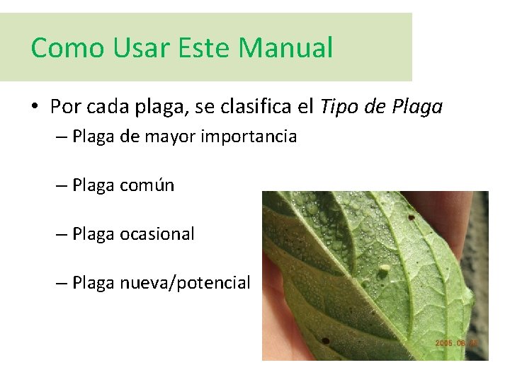 Como Usar Este Manual • Por cada plaga, se clasifica el Tipo de Plaga