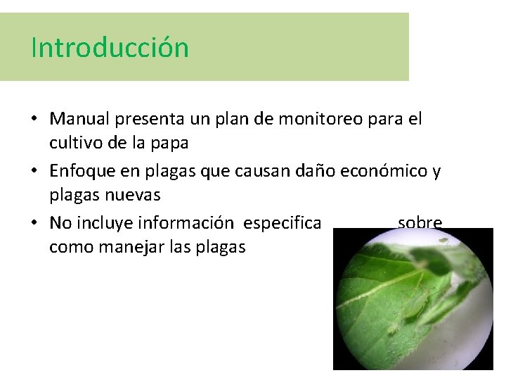 Introducción • Manual presenta un plan de monitoreo para el cultivo de la papa