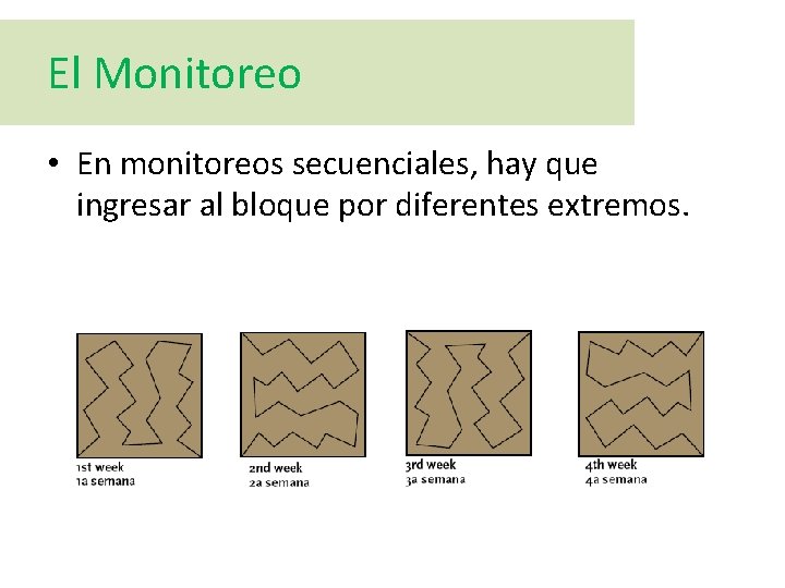 El Monitoreo • En monitoreos secuenciales, hay que ingresar al bloque por diferentes extremos.