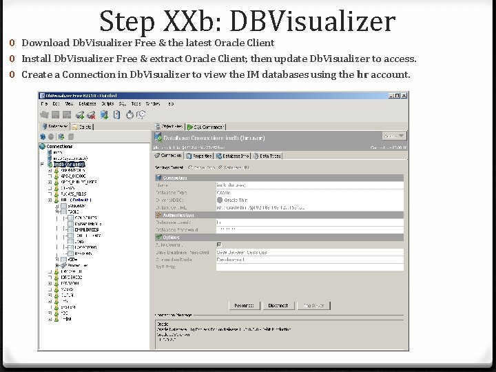 dbvisualizer increase memory