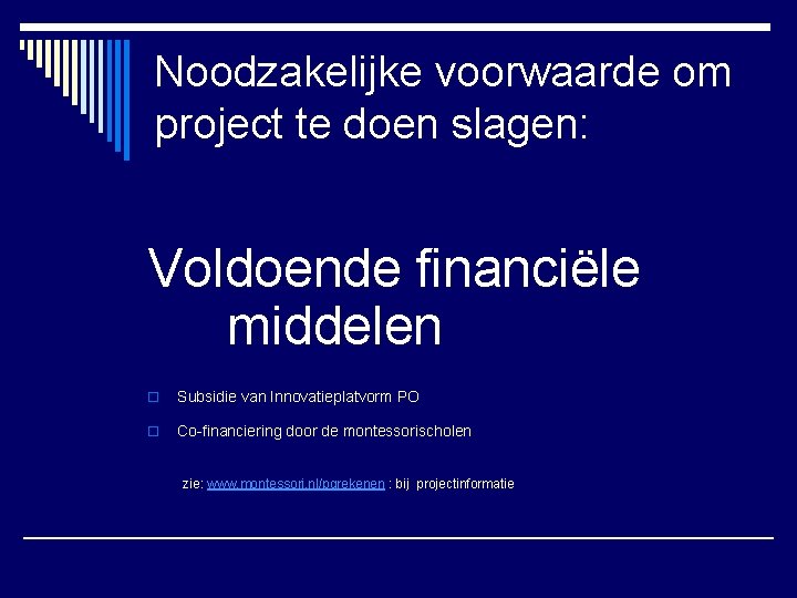 Noodzakelijke voorwaarde om project te doen slagen: Voldoende financiële middelen o Subsidie van Innovatieplatvorm