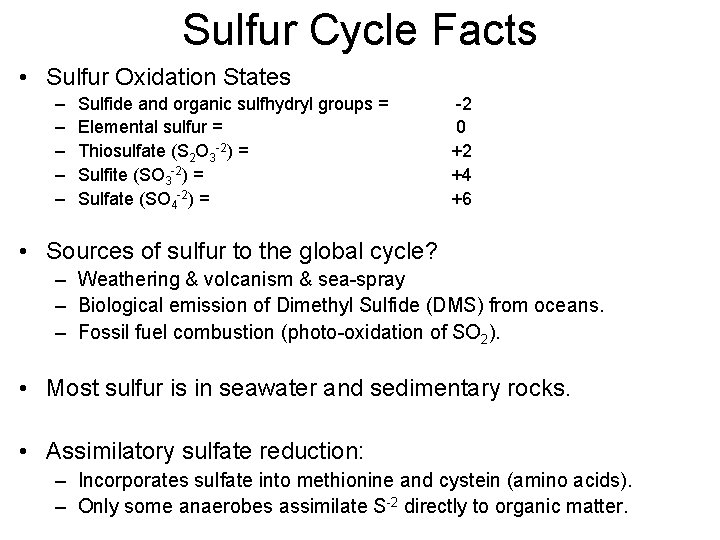 Sulfur Cycle Facts • Sulfur Oxidation States – – – Sulfide and organic sulfhydryl