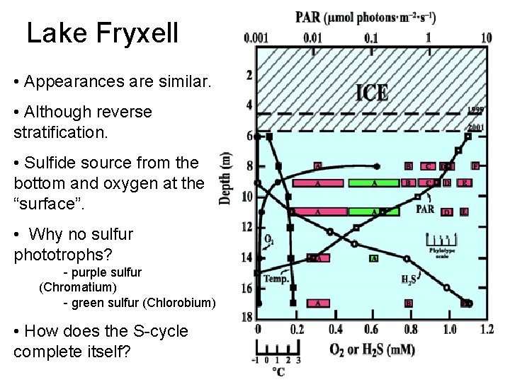 Lake Fryxell • Appearances are similar. • Although reverse stratification. • Sulfide source from