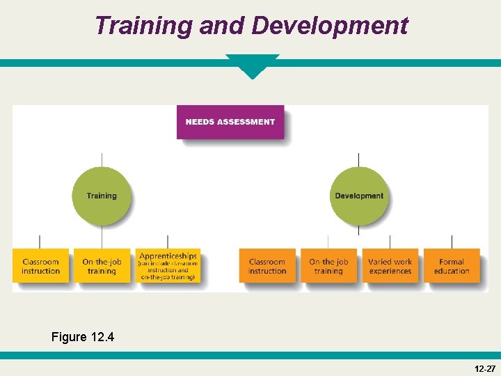 Training and Development Figure 12. 4 12 -27 