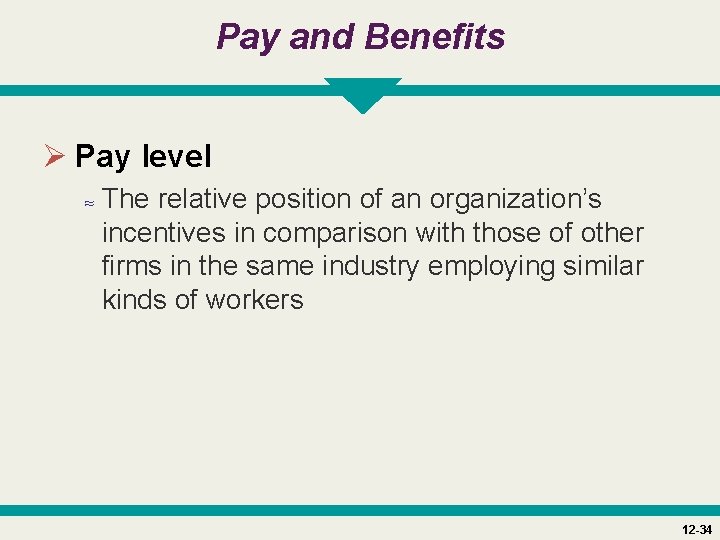 Pay and Benefits Ø Pay level ≈ The relative position of an organization’s incentives