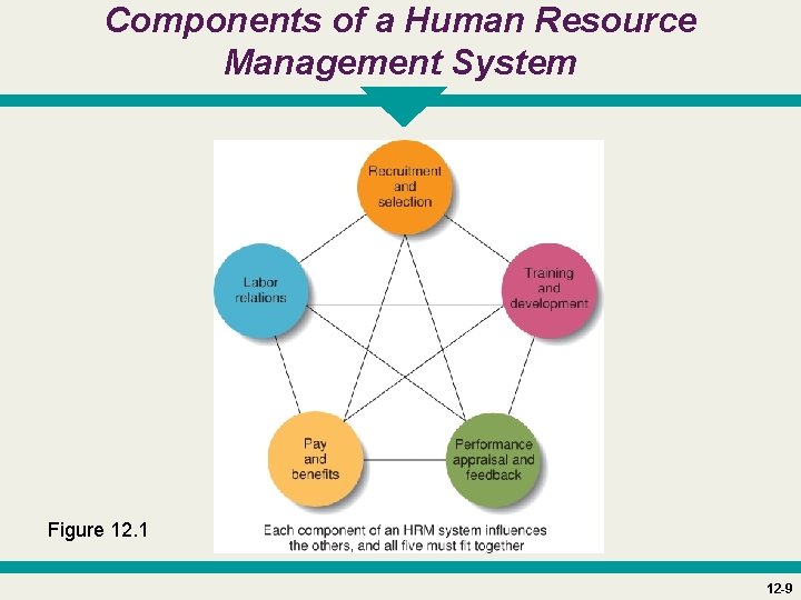 Components of a Human Resource Management System Figure 12. 1 12 -9 