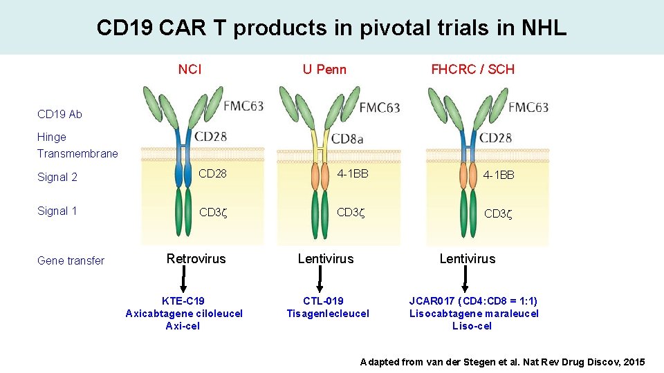 CD 19 CAR T products in pivotal trials in NHL NCI U Penn FHCRC