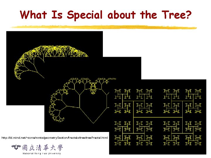 What Is Special about the Tree? http: //id. mind. net/~zona/mmts/geometry. Section/fractals/tree. Fractal. html 1 What Is Special about the Tree? http: //id. mind. net/~zona/mmts/geometry. Section/fractals/tree. Fractal. html 1
