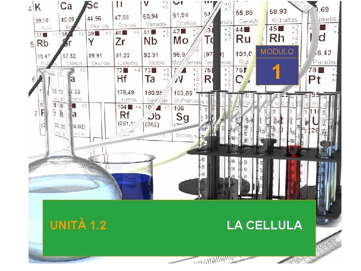 MODULO 1 1 UNITÀ 1. 2 UNITA’ 1. 2 LA CELLULA 