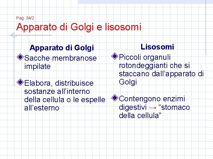 Pag. 34/2 Apparato di Golgi e lisosomi Apparato di Golgi Sacche membranose impilate Elabora,