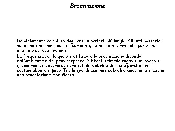 Brachiazione Dondolamento compiuto dagli arti superiori, più lunghi. Gli arti posteriori sono usati per
