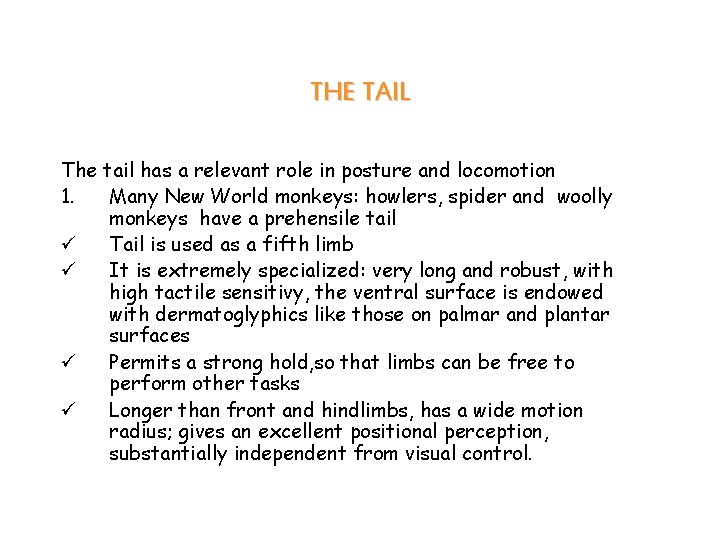 THE TAIL The tail has a relevant role in posture and locomotion 1. Many