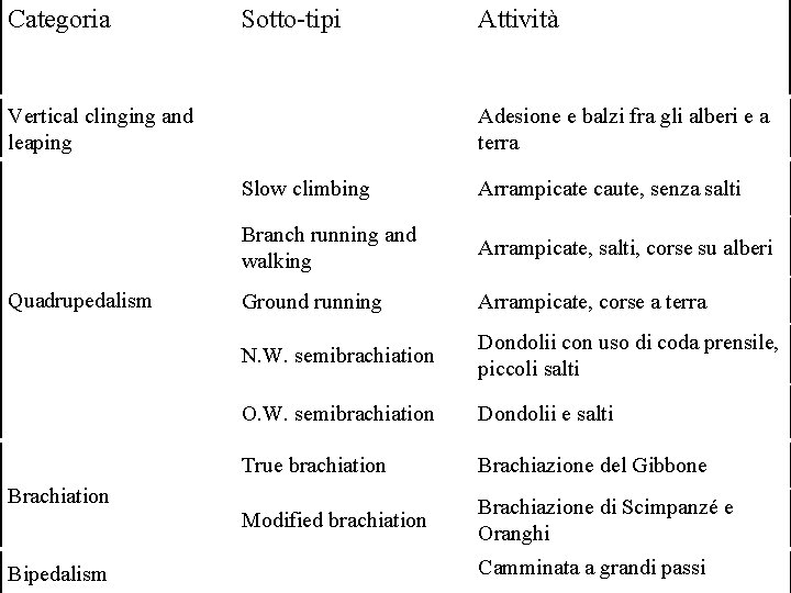 Categoria Sotto-tipi Vertical clinging and leaping Quadrupedalism Adesione e balzi fra gli alberi e