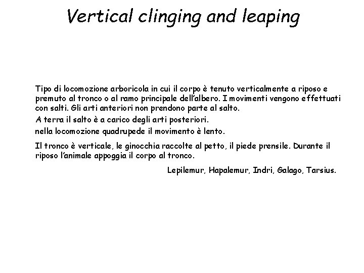 Vertical clinging and leaping Tipo di locomozione arboricola in cui il corpo è tenuto
