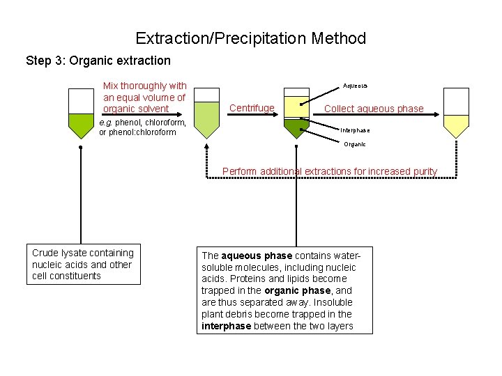 Extraction/Precipitation Method Step 3: Organic extraction Mix thoroughly with an equal volume of organic