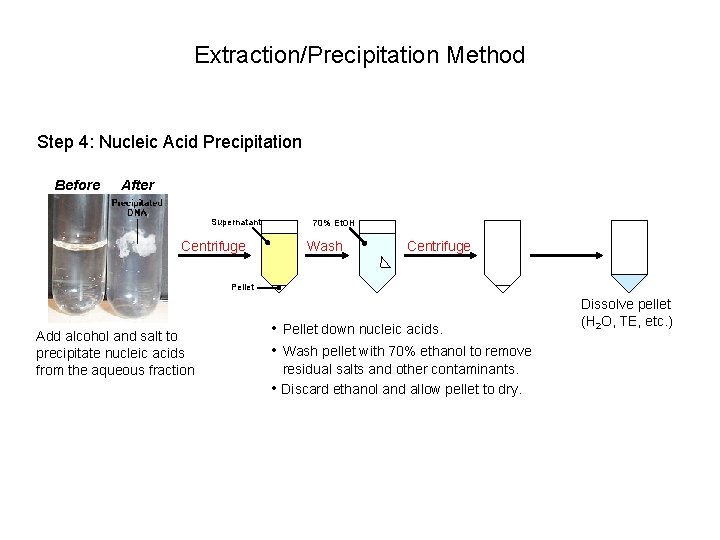 Extraction/Precipitation Method Step 4: Nucleic Acid Precipitation Before After Supernatant Centrifuge 70% Et. OH
