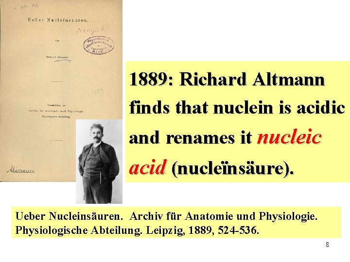 1889: Richard Altmann finds that nuclein is acidic and renames it nucleic acid (nucleïnsäure).