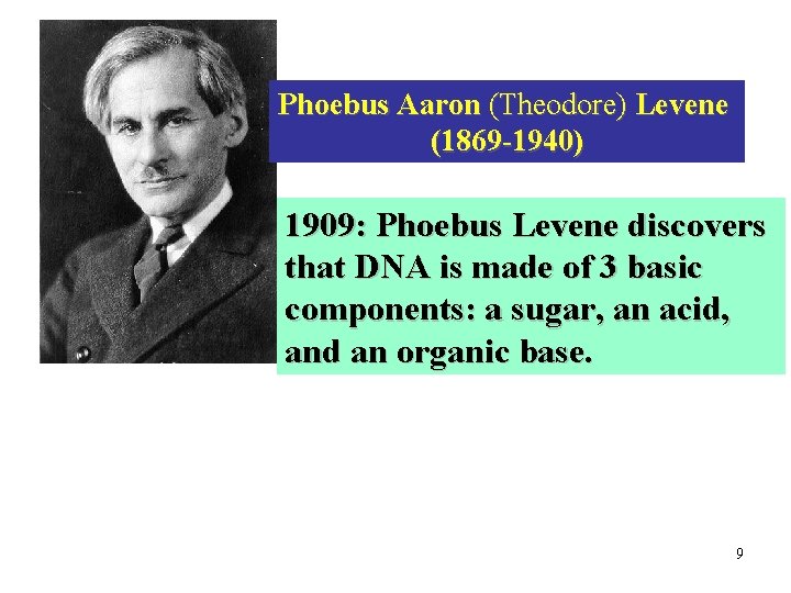 Phoebus Aaron (Theodore) Levene (1869 -1940) 1909: Phoebus Levene discovers that DNA is made